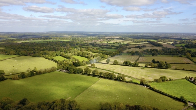 Health Benefits of an Office in the Countryside